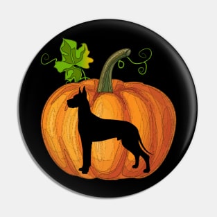 Great dane in pumpkin Pin