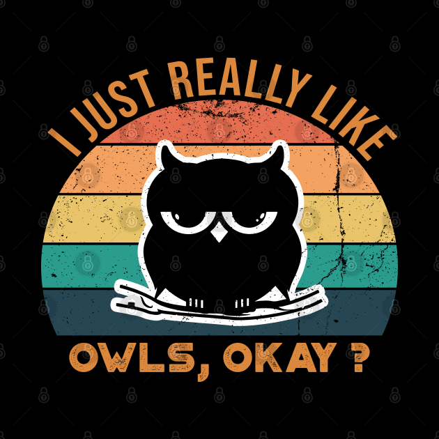 I Just Really Like Owls, OKay? by VanTees