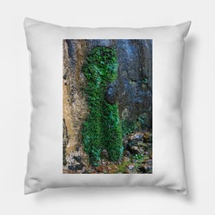 Weeping Rock Topiary - Zion - Utah Pillow