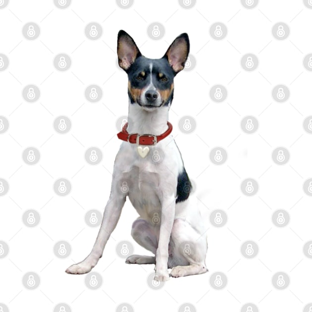 Rat Terrier - Just the Dog by Dogs Galore and More