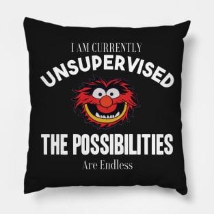 I am currently unsupervised I know it freaks me out too but possibilities are endless Pillow