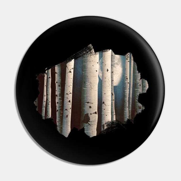 Birch wood at night Pin by Sybille