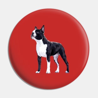 Boston Terrier Super Stylish Dog Pin