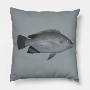 Victoria Tilapia Pillow