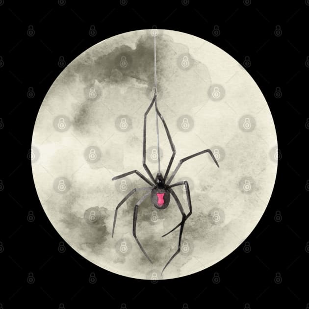 Full Moon Redback Spider by Kylie Paul