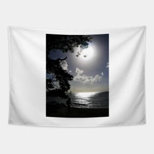 Moonlight Tapestry