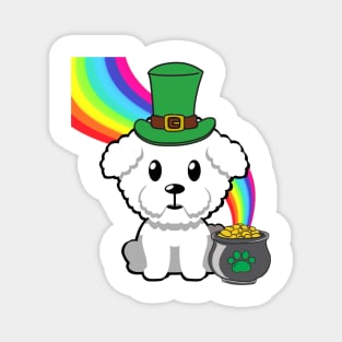 Cute furry dog is a leprechaun Magnet