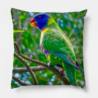 The Rainbow Lorikeet! Pillow