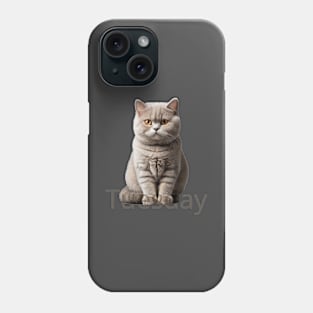 Tuesday cat. So fluffy! Phone Case