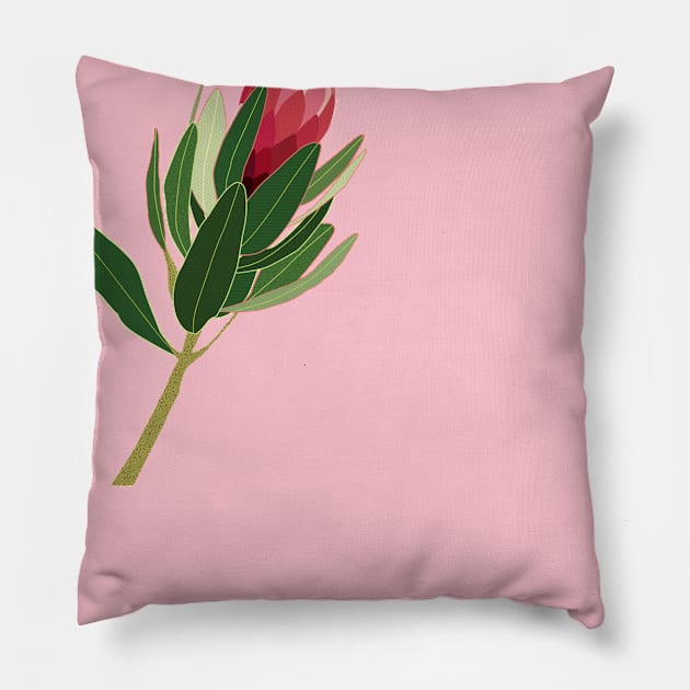 Protea Flower pink Pillow by Lisa