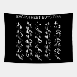 Backstreet Boys Band DNA Tapestry