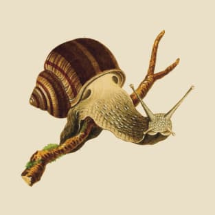 Simple snail T-Shirt