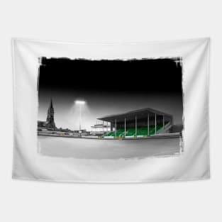 Markets Field - Limerick Treaty United League of Ireland Football Artwork Tapestry