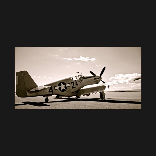 Tuskegee P-51 Mustang Vintage Fighter Plane by Scubagirlamy