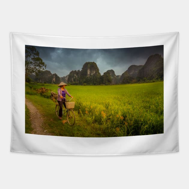 Vietnam rural scene near Tam Coc Tapestry by dags