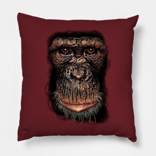 Monkey Pillow