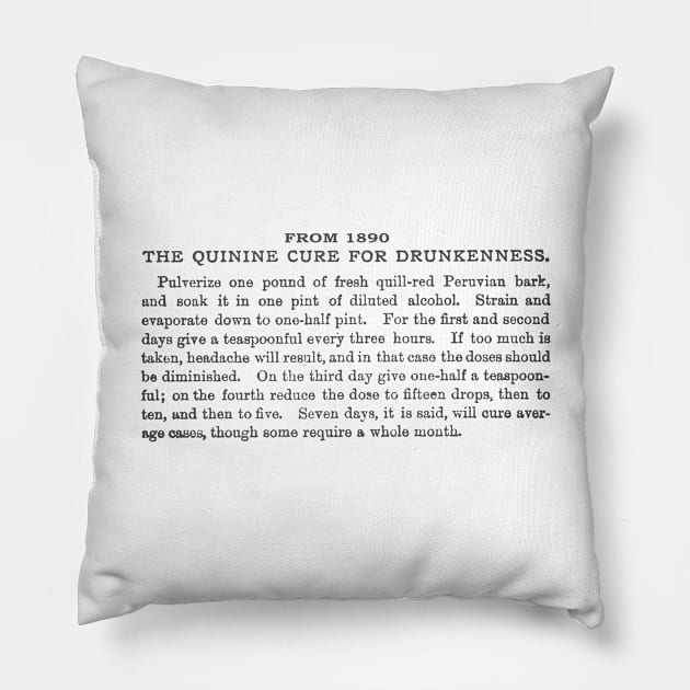 1890 Cure for Drunkkeness Front Pillow by EP