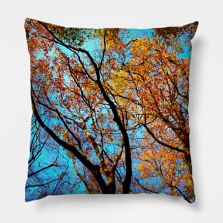 Curved branches of beech trees with autumn colored leaves in Canfaito forest Pillow