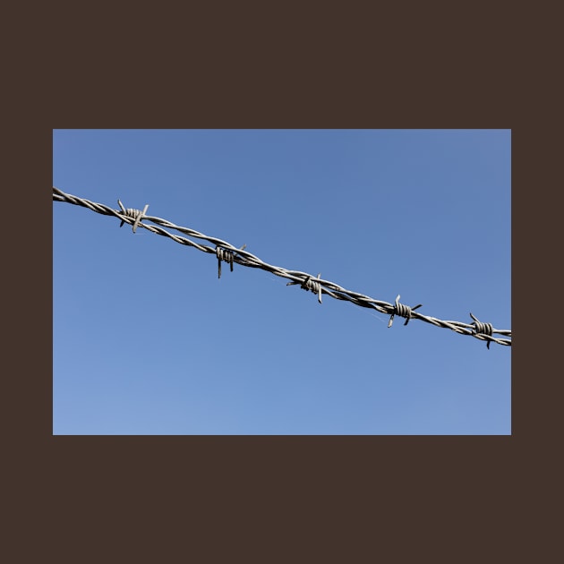 barbed wire, minimalistic image by Vannaweb