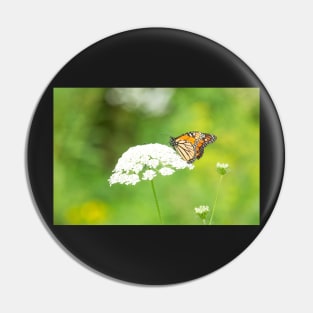 The Monarch on Queen Anne's Lace Pin