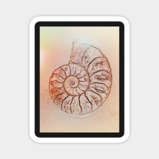 Ammonite Magnet