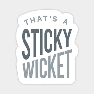 Funny Cricket That's a Sticky Wicket Magnet