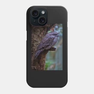 Tawny Frogmouth 2 Phone Case