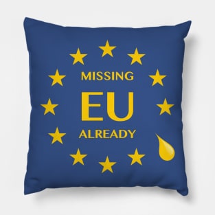 Brexit Missing EU Already Pillow