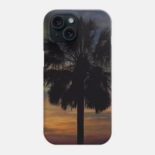 Florida sunset with Palm Tree Phone Case