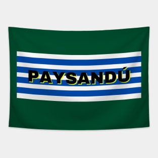 Paysandú City in Uruguay Flag Stripes Tapestry