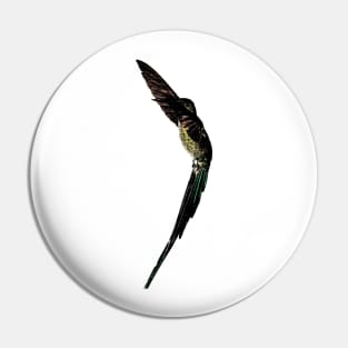 humming bird Pin