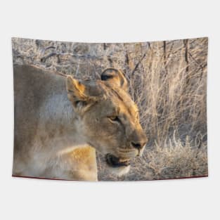 Namibia. Etosha National Park. Queen Lioness. Tapestry