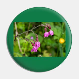 English Red Campion and raindrops Pin