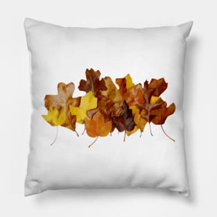 Fall Leaves Pillow