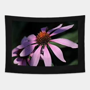 Purple Coneflowers Tapestry