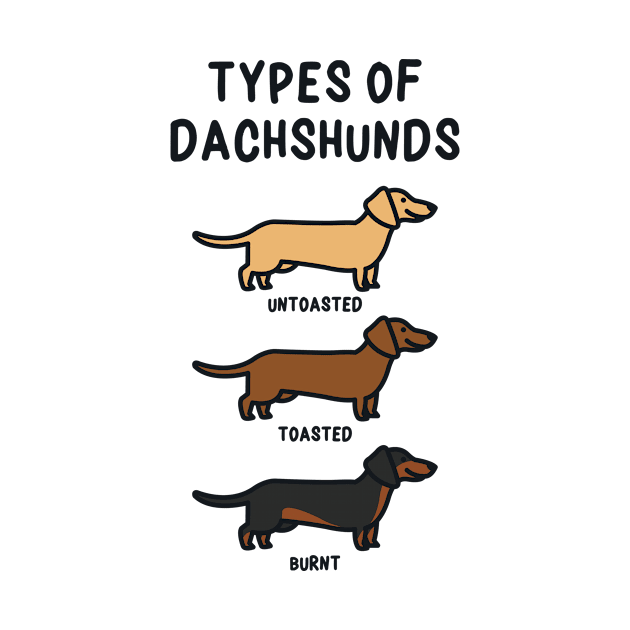 Types of Dachshunds by redbarron