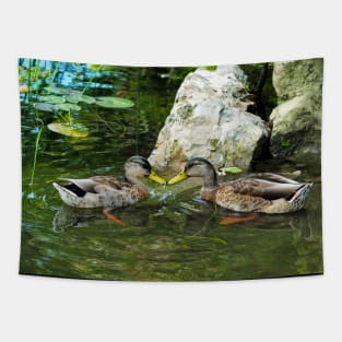 Two Mallard Ducks Looking At Eachother Tapestry