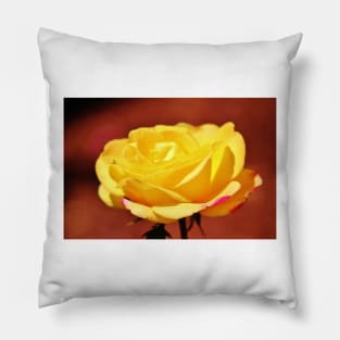 Bright Yellow Rose With Pink Pillow