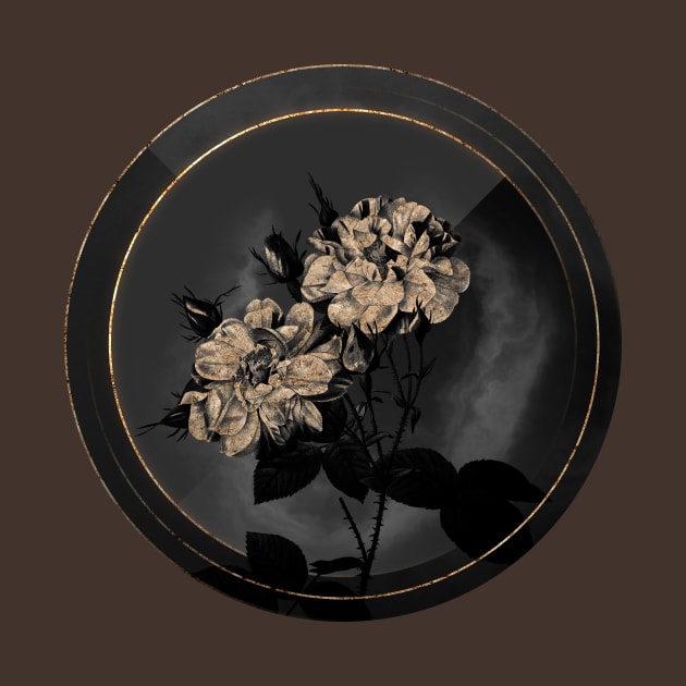 Shadowy White Damask Rose Botanical on Black and Gold by Holy Rock Design