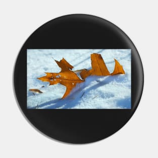 First Snow Pin