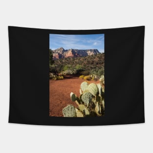 Arid landscape. Tapestry