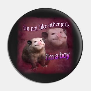 I'm not like other girls, I'm a boy possum word art Pin