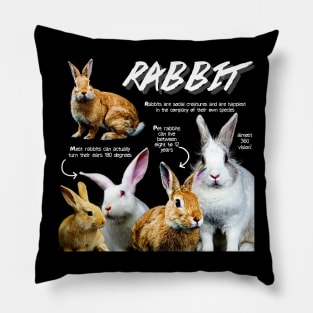 Rabbit Fun Facts Pillow