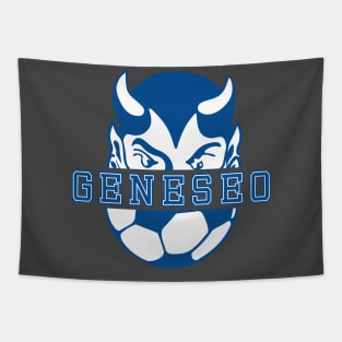 Geneseo Soccer 2022 Tapestry