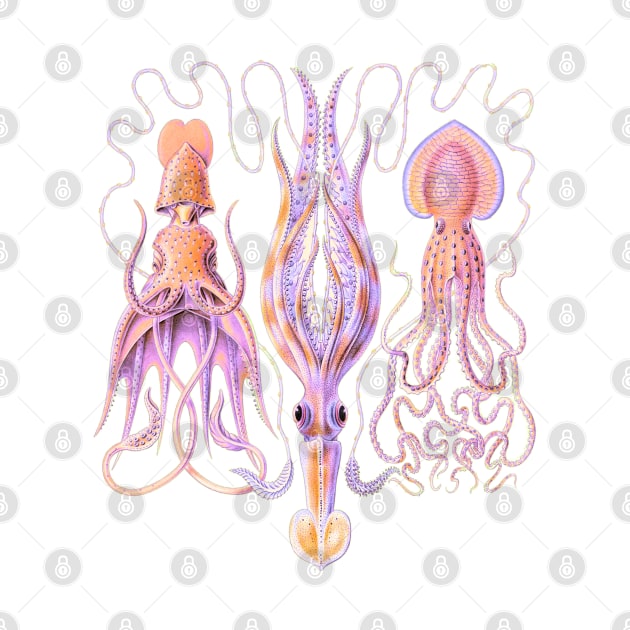 Octopus Trio by JoolyA