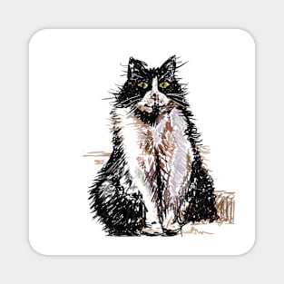 Tuxedo Cat Cute Drawing Magnet