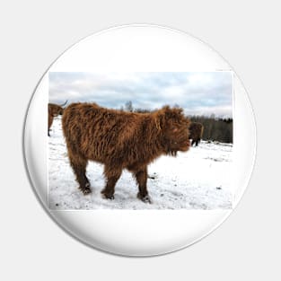 Scottish Highland Cattle Calf 1610 Pin