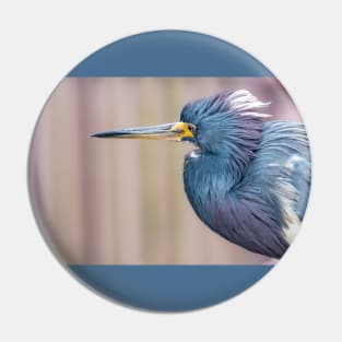 Tricolored Heron in Neck Tucked Pose Pin