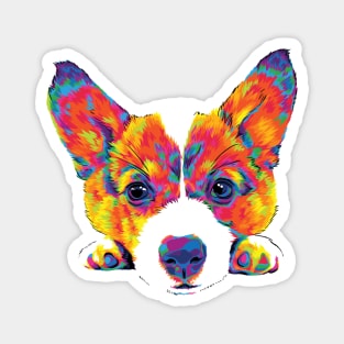 The Cutest Rainbow Corgi Puppy Magnet