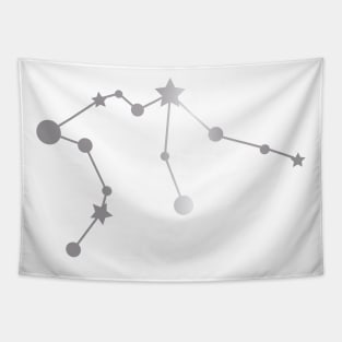 Aquarius Zodiac Constellation in Silver Tapestry